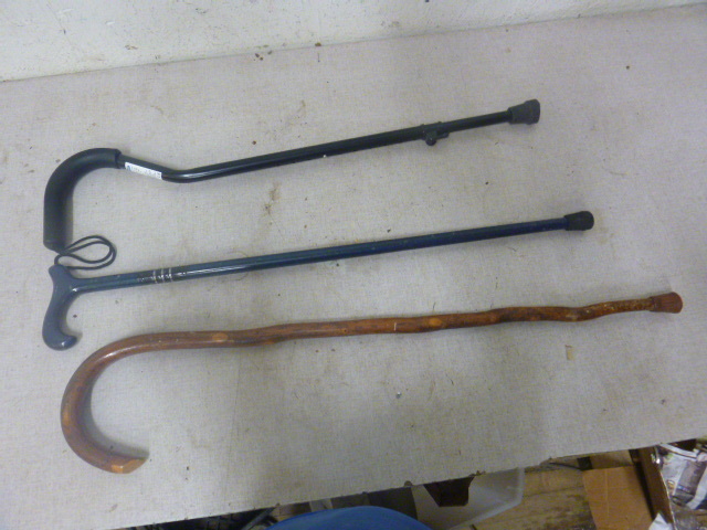 lot 101 image: 3 Walking Canes