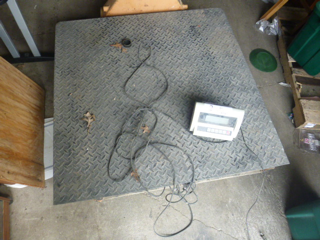 lot 4 image: Electronic Platform Scale