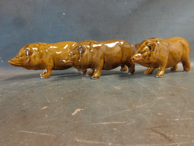 lot 142 image: Red Wing Pigs