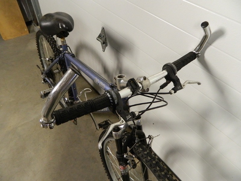 2002 raleigh m80