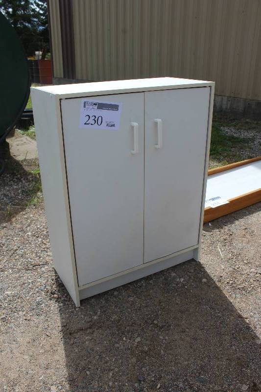lot 230 image: 2-Door 3-Shelf Wood Cabinet
