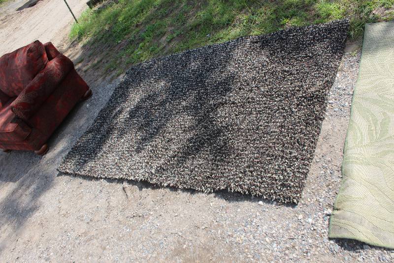 lot 227 image: Area Rug