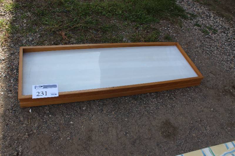 lot 231 image: Ceiling Mount Flourescent Light Fixture w Lights