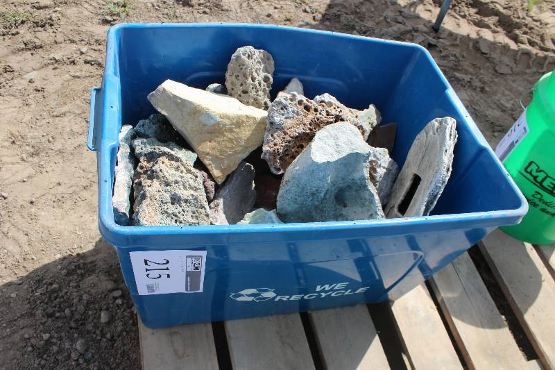 lot 215 image: Bin of Salt Water Aquarium Rocks, Various ShapesHoles