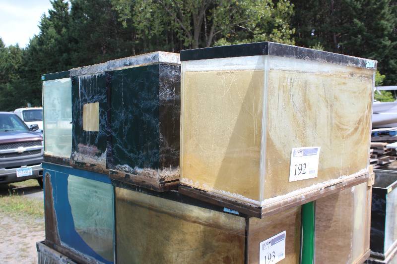 lot 192 image: Lot of (6) 20-Gallon Fish Tanks