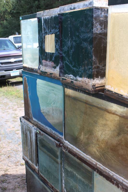 lot 193 image: Lot of (6) 20-Gallon Fish Tanks