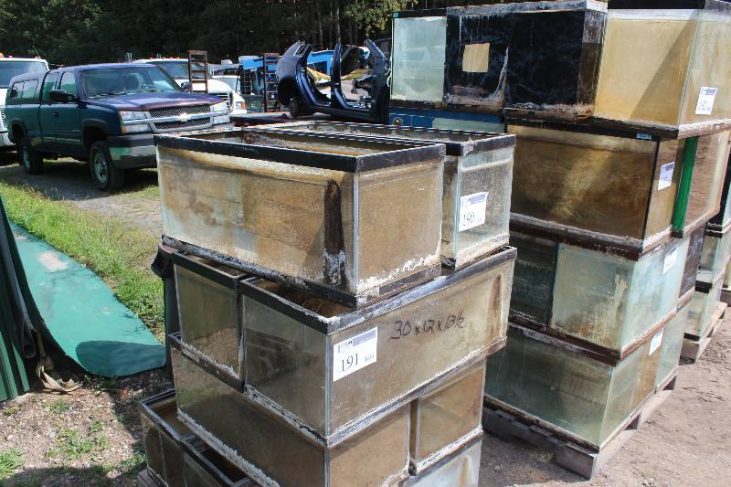 lot 190 image: Lot of (4) 20-Gallon Fish Tanks