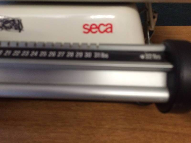 lot 1 image: Seca Tabletop Precision High Perfomance Scale OBGYN Pediatric Medical Clinic Infant Baby Small Animal Puppy Scale - Excellent Condition