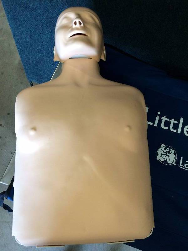 lot 8 image: Laerdal Little Anne Resuscitation Training CPR Manikin - Excellent Condition