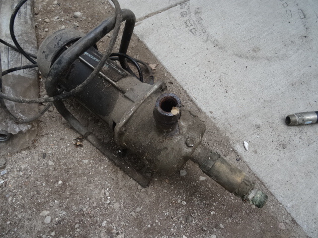 Wayne 1 HP lawn sprinkler and utili...