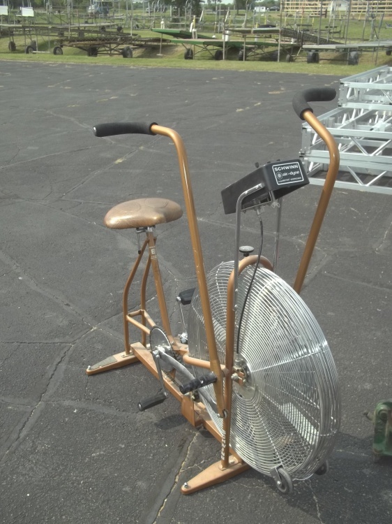 lot 48 image: Schwinn Exercise Bike