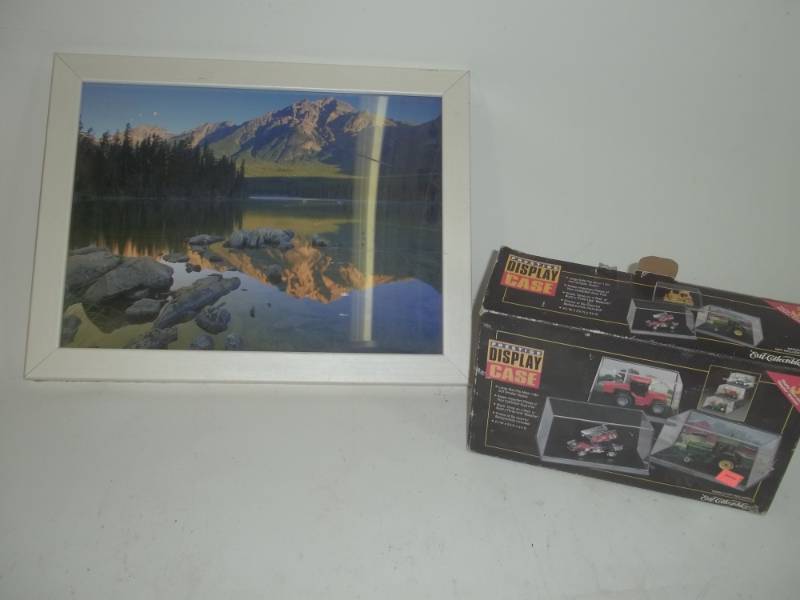 lot 186 image: Small Display Case and framed Picture