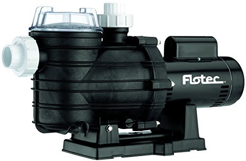 lot 50 image: Sta-Rite Industries Pump In-Ground Pool 1 Hp 230 V