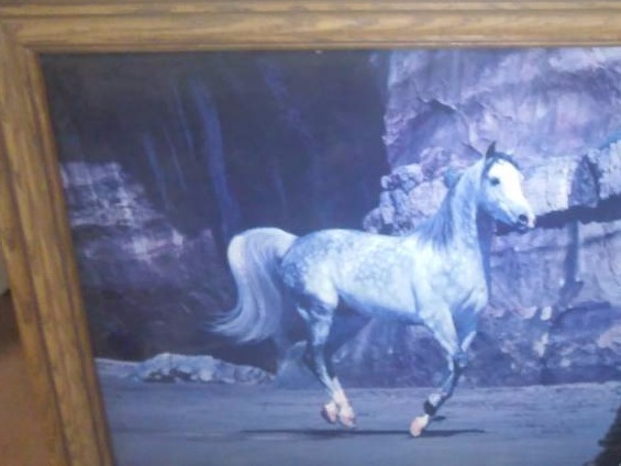 lot 91 image: Wild Horse Lot lights pottery and more