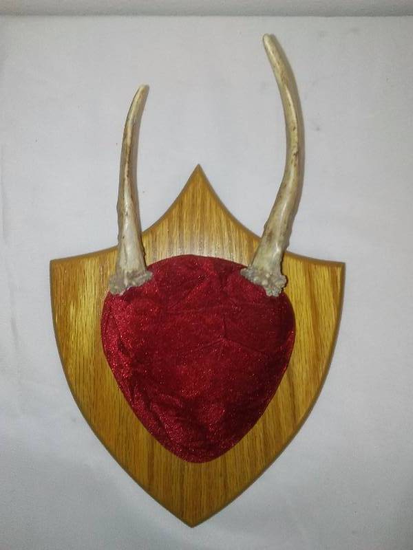 lot 37 image: Deer Mount, 2014