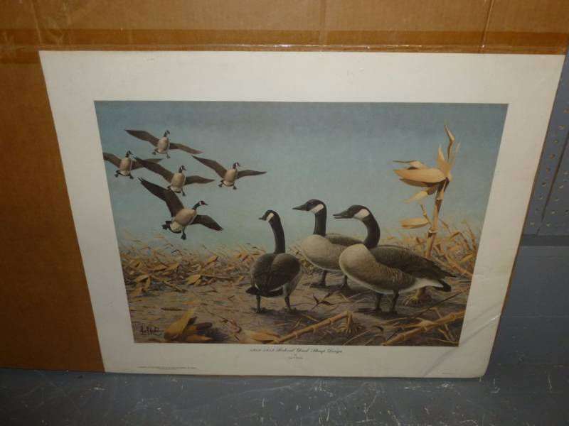 Les Kouba Print