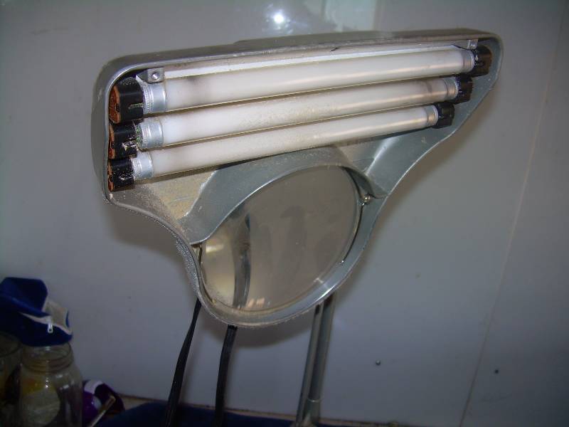 COLLECTIBLE LIGHTED MAGNIFYING GLASS