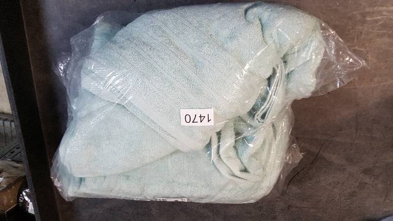 lot 1470 image: alcove Hydroplush 13-Pc. Towel Set - Blue