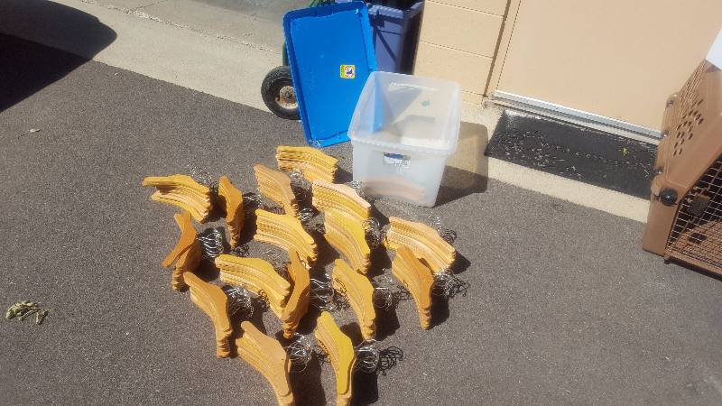 lot 36 image: 16-Dozen Wood Childs Size Hangers (10) Includes Bin With Lid