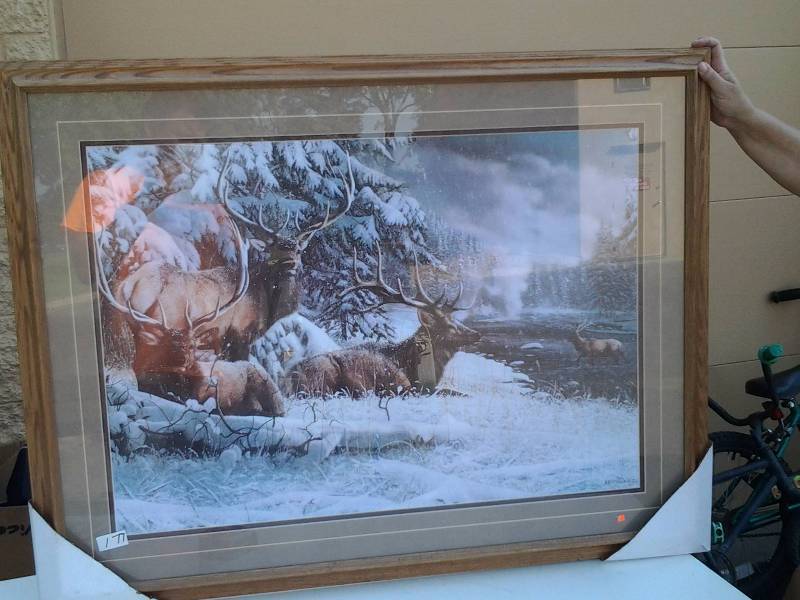 lot 45 image: Framed Elk Print 42x33 By Kevin Daniel