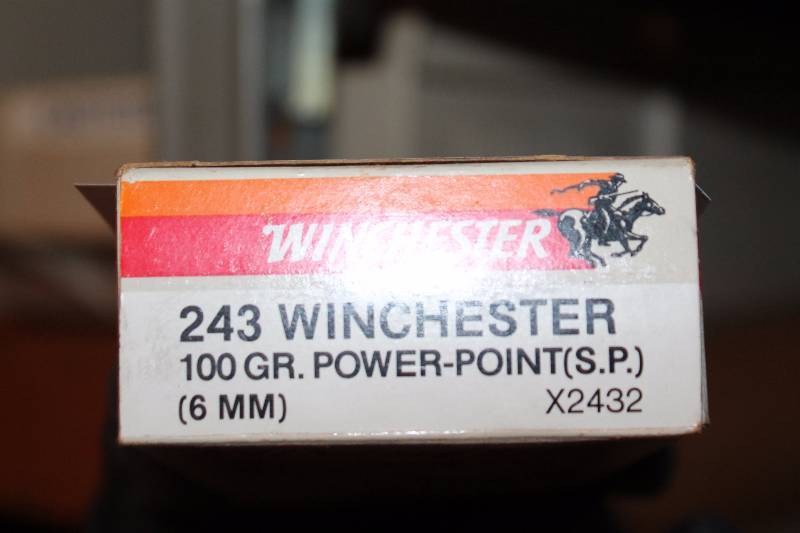lot 134 image: Lot of (Approximately 20) Winchester .243 Rounds Gun Ammo