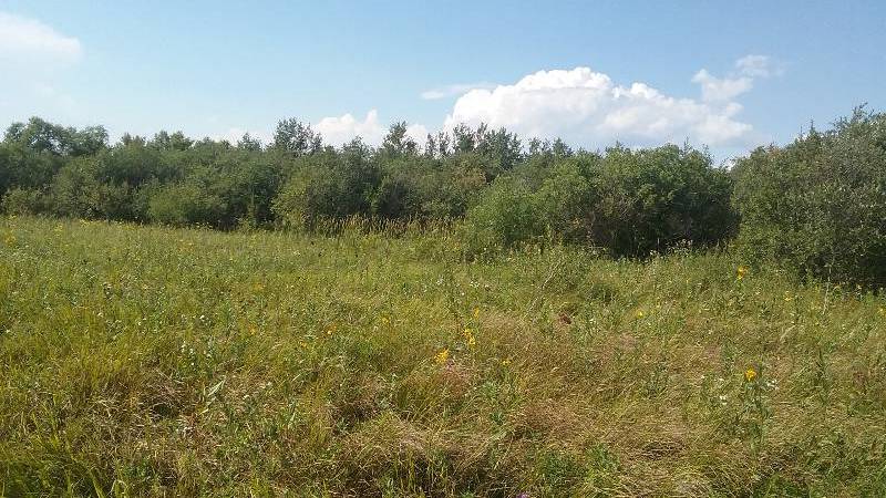 40 Acres Private Remote Hunting Land 2017 Lease Near Detroit Lakes