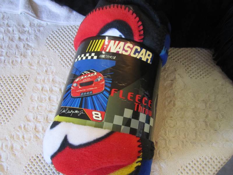 lot 234 image: Nascar Dale Earnhardt Jr Fleece Thr...
