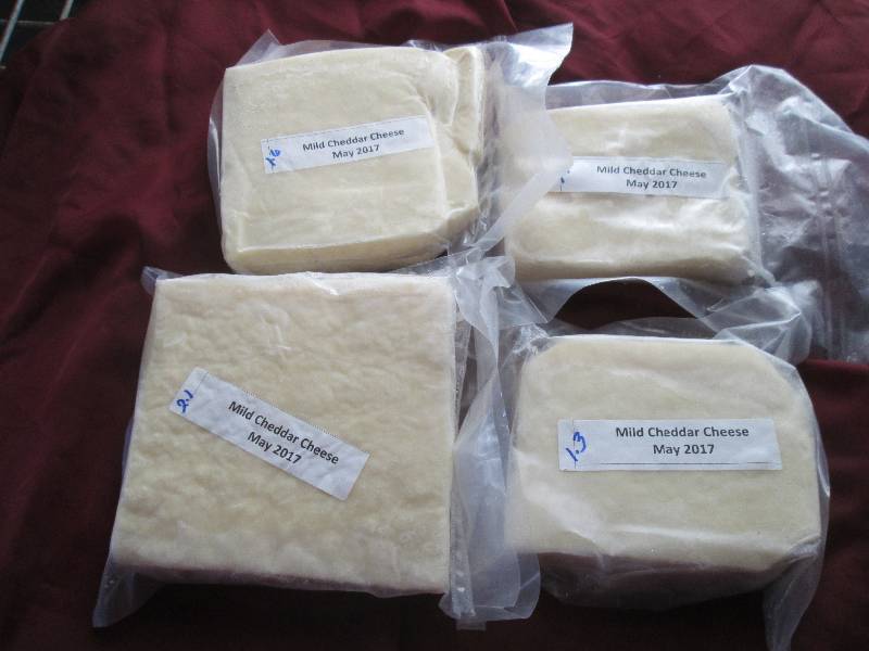 lot 5 image: 6.1 lb.Chunk Mild Cheddar Cheese Pr...