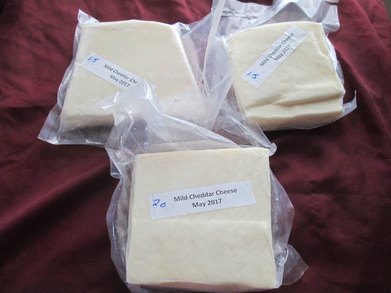 lot 6 image: 5.0 lb.Chunk Mild Cheddar Cheese Pr...
