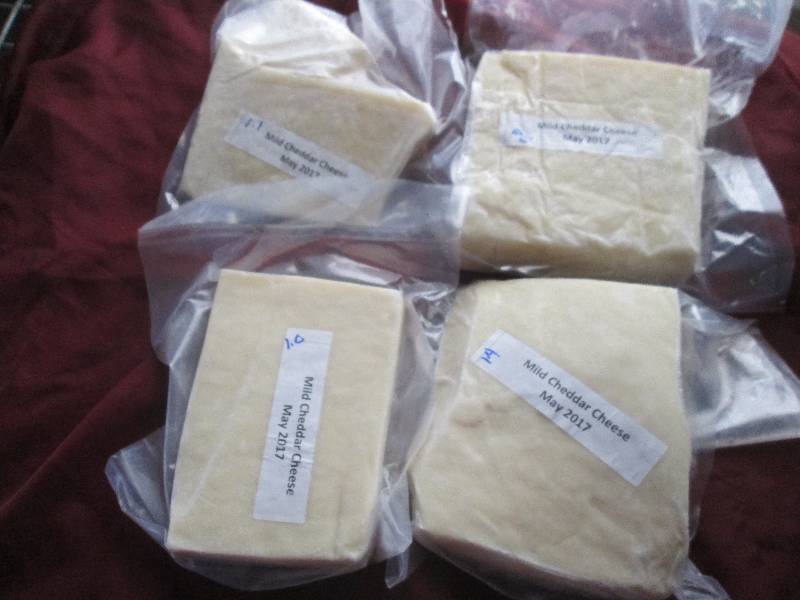 lot 8 image: 5.5 lb.Chunk Mild Cheddar Cheese Pr...