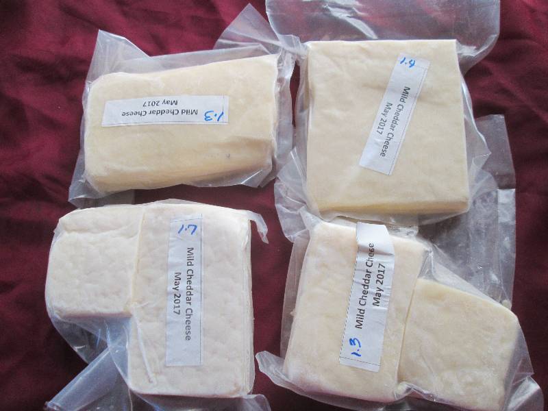 lot 9 image: 5.7 lb.Chunk Mild Cheddar Cheese Pr...