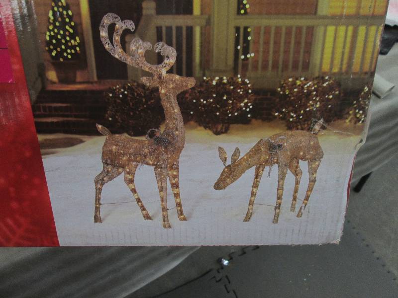 lot 43 image: Home Accents Holiday 48 in. LED Lig...