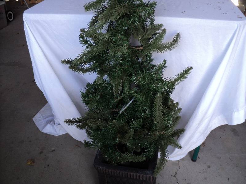 lot 121 image: 3ft tree...