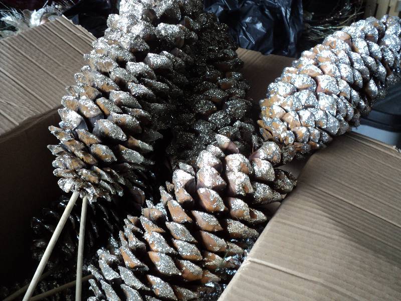 lot 127 image: box of giant pinecones  ...