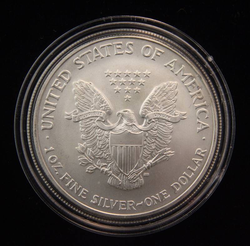 2007 AMERICAN SILVER EAGLE 1 TROY OZ. .999 FINE SILVER IN AIRTITE HOLDER
