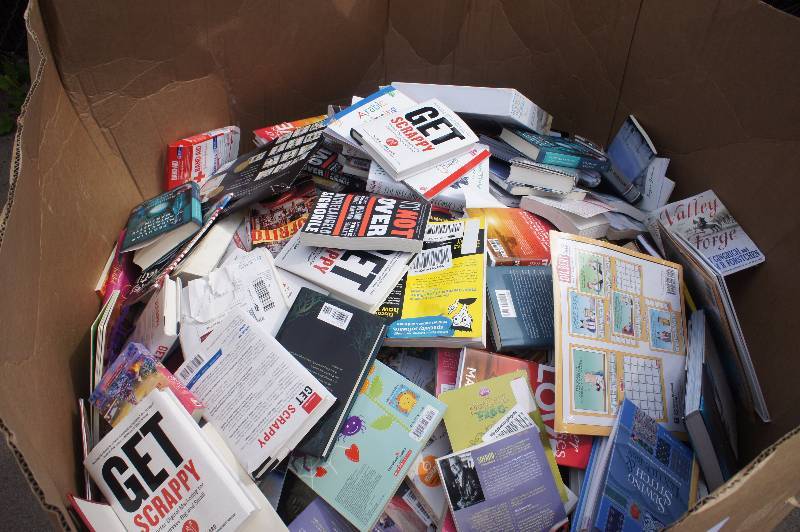 1 MASSIVE PALLET  LOT OF - BOOKS - MEDIA RELATED YOU GET EVERYTHING ON THE PALLET TONS OF MONEY TO BE MADE