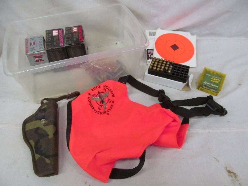 lot 178 image: ammo, targets, brass