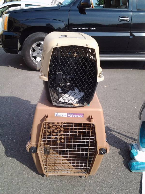 lot 63 image: 2-Pet Kennels- Med & Large