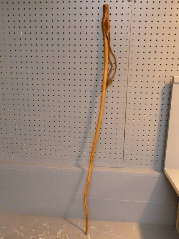 Walking Stick