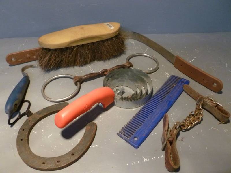 Horse Equipment