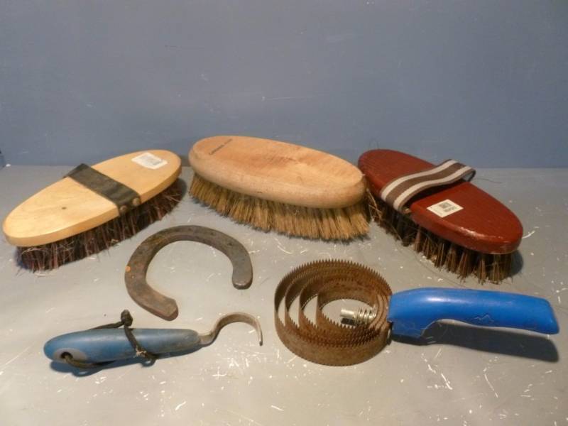 Horse Equipment
