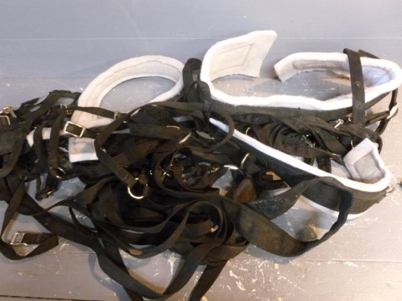 Horse Equipment