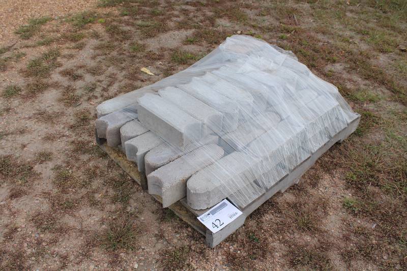 Lot of (Approximately 32) Patio Paver Bricks