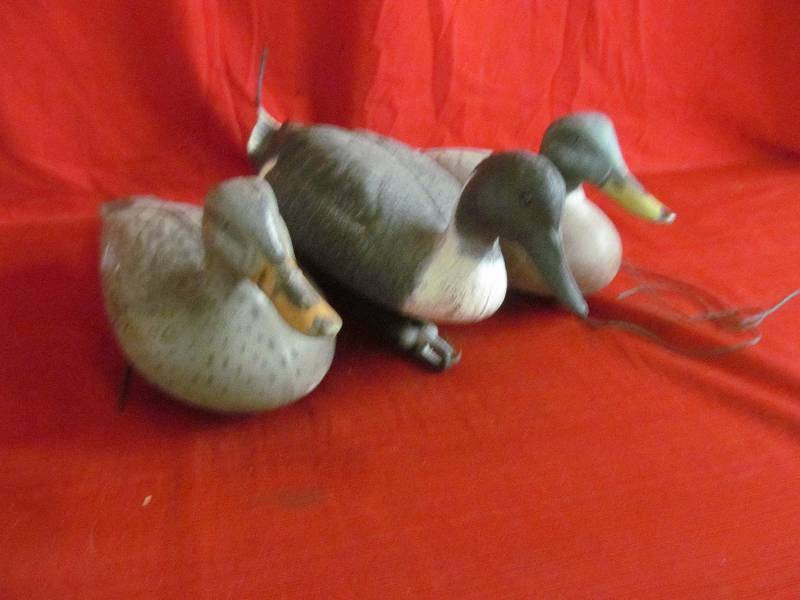decoys