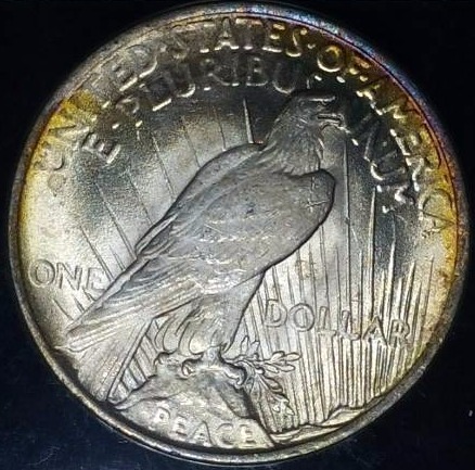 1922 P Peace Silver Dollar - Graded MS65