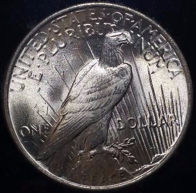 1923 P Peace Silver Dollar - Graded&nbspMS65