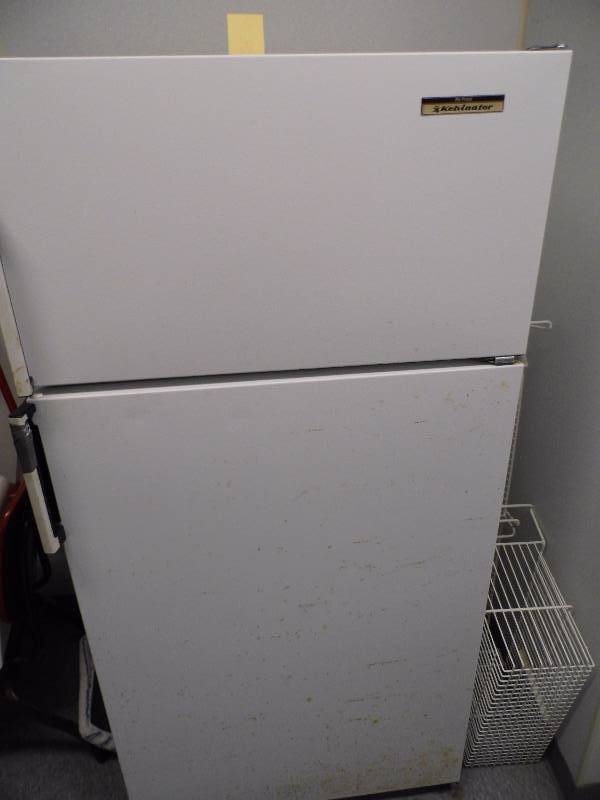lot 28 image: Kelvinator Fridge