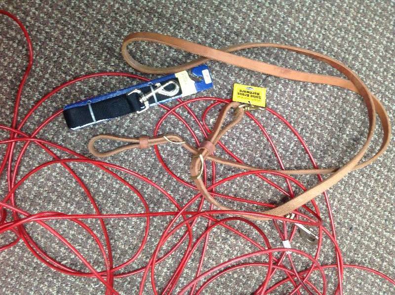 Dog items, leashes