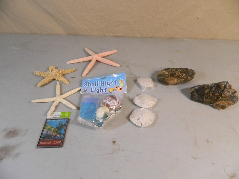 lot 41 image: Sand Dollars, Rocks, and More