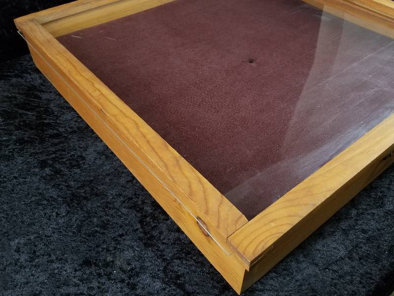 lot 59 image: Display Case, 25x24x4, Plexiglass